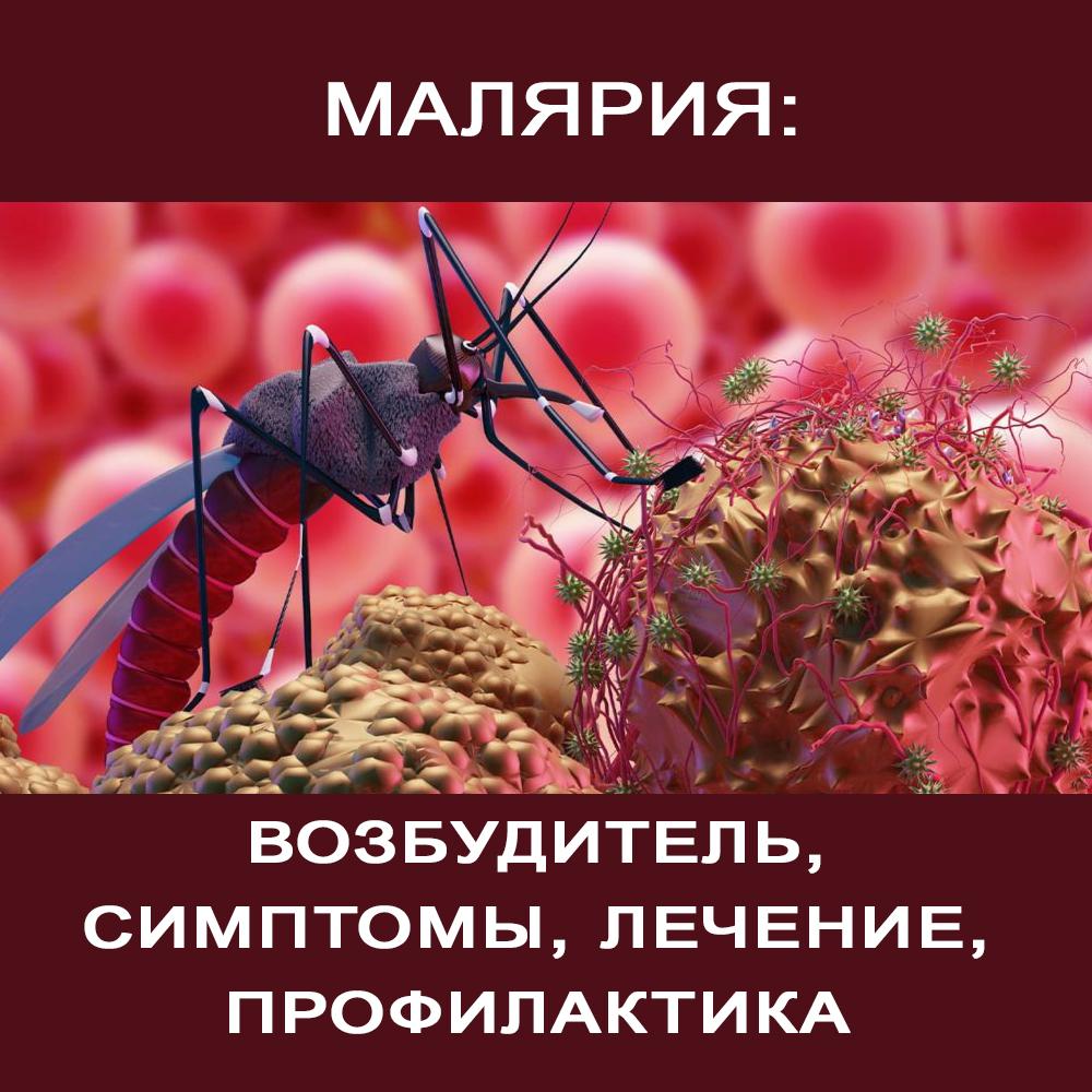 Малярия: возбудитель, симптомы, лечение, профилактика
