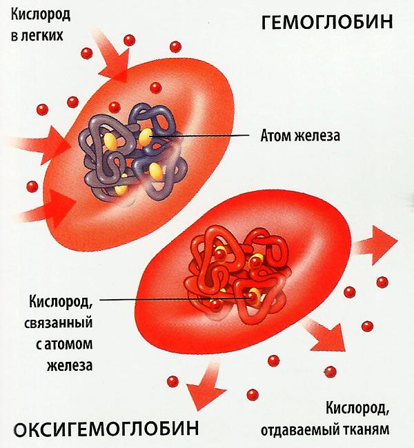 Серьезнее — изучить микромир