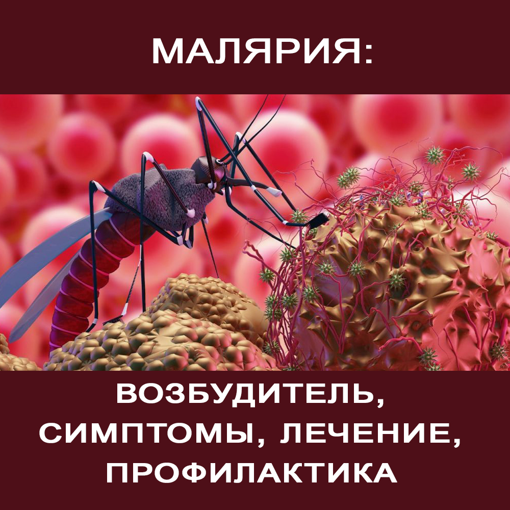 Малярия: возбудитель, симптомы, лечение, профилактика | 11.08.2023 |  Мичуринск - БезФормата