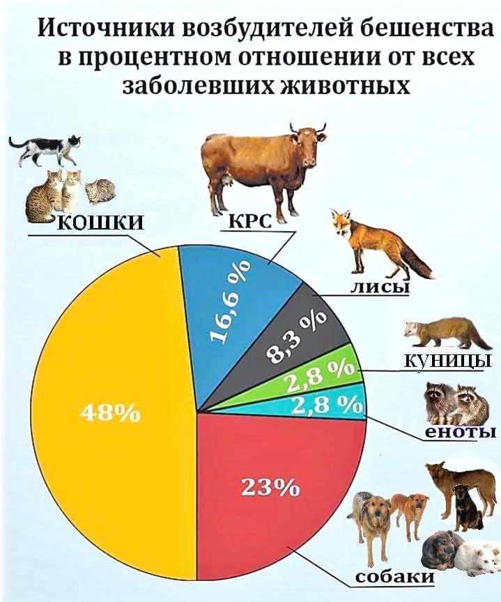 Короли охоты Публикации Вокруг Света
