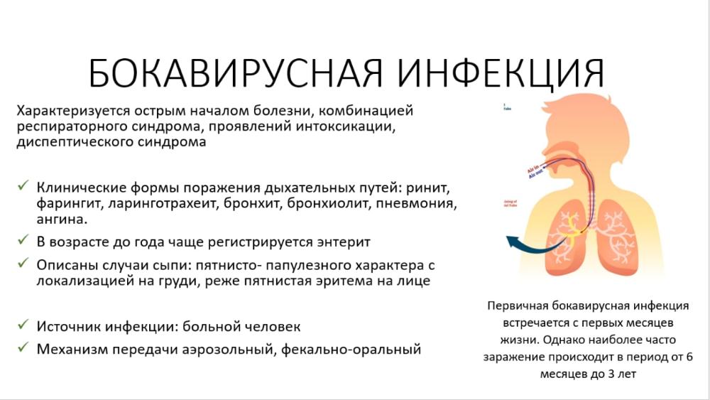 Инфекционные респираторные болезни (Morbum infectiosae respiratoria) - причины, симптомы, лечение